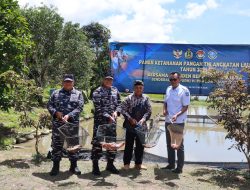 Dukung Kesejahteraan Masyarakat, Kodaeral XIV Gelar Panen Raya TNI AL Serentak Tahun 2025