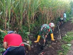 Cegah Banjir, Babinsa Sumberpetung Ajak Warga Dusun Cungkal Kerja Bakti Bersihkan Saluran Air