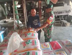 Jaga Kualitas Pangan, Babinsa Dampingi Pengecekan Beras di Kilang Padi