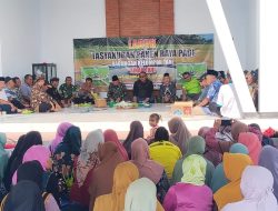 Pos Konja Satgas Pamtas RI-PNG Kewilayahan Yonif 763/SBA Laksanakan Panen Perdana dalam Rangka Ketahanan Pangan