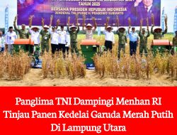 Panglima TNI Kepala Staf TNI AL Mendampingi Menteri Pertahanan RI Meninjau Langsung Hasil Panen Kedelai