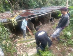 Pria 54 Tahun di Gunungsari Tewas Tersengat Listrik Saat Tebang Pohon Pisang
