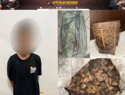 Polda Sumsel Tangkap Pelaku Curat Target Operasi Sikat II Musi 2025 di OKU Selatan