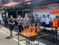 Polresta Sorong Kota Musnahkan Ganja, Masuk dari Jayapura Melalui Jalur Laut