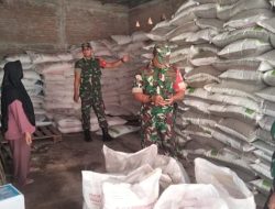 Diawal Musim Tanam, Babinsa Pastikan Stok Pupuk Bersubsidi Aman