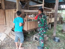 Babinsa Koramil Kemusu Dorong Peternak Kambing Tingkatkan Kebersihan Kandang dan Produktivitas