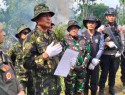 Dandim 0103/Aut Turun Langsung Bersama Tim Gabungan Musnahkan Lahan Ganja di Kecamatan Sawang