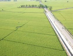 LTT Capai 463.834 Hektare, Produktivitas Padi di Mataraman Jawa Timur Meningkat