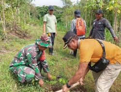 Dukung Penghijauan di Wilayah Binaan, Babinsa Desa Bumiayu Laksanakan Penanaman Pohon Bersama