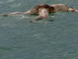 Nelayan Dikejutkan Ada Penemuan Mayat Terapung di Perairan Laut Pulau Lalang