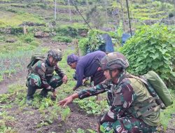 Keluarga Berkebun Satgas Yonif 521/DY Membantu Masyarakat Ketahanan Pangan di Distrik Kurima