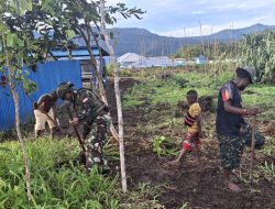 Lahan Pangan Satgas Yonif 521/DY Bantu Warga Ubah Lahan Kosong Jadi Sumber Pangan Bersama di Kobakma*