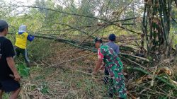 Babinsa Kelurahan Bence Ajak Warga Bersihkan Ranting Bambu Yang Menutupi Akses Jalan Persawahan