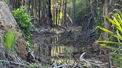 PT. TAS Diadukan ke DLHD Morowali, Diduga Lakukan Pelanggaran Lingkungan