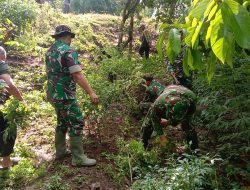 TNI-Polri dan BPBD Trenggalek Sigap Tangani Pohon Tumbang di Jalur Nasional