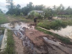Jalan Rusak, Jembatan Hilang! Desa Sungai Buaya Kian Terjepit di Tengah Ancaman Banjir