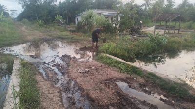 Jalan Rusak, Jembatan Hilang! Desa Sungai Buaya Kian Terjepit di Tengah Ancaman Banjir