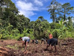 Pos Selal Satgas Yonif 751/VJS Tanam Jagung Bareng Warga Kampung Beringin: Dukung Program Ketahanan Pangan Presiden RI