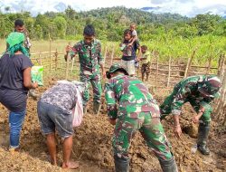 Pos Denom Satgas Yonif 751/VJS Bersama Warga Bangun Kebun Ketahanan Pangan: Edukasi Berkebun untuk Kemandirian Kampung