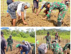 Pos Denom Satgas Yonif 751/VJS Bersama Warga Bangun Kebun Ketahanan Pangan: Edukasi Berkebun untuk Kemandirian Kampung