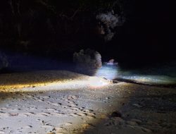 Buaya Muncul di Pantai Ngliyep, Polisi dan Tim Gabungan Lakukan Upaya Evakuasi