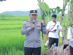 Dari Lombok Barat, Kapolda NTB Ikut Launching Swasembada Pangan Nasional