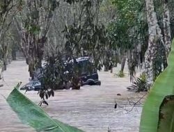 Heroik! Babinsa Belitang Evakusi Warga Terseret Arus Banjir
