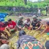 Binter TNI Dalam Ritual Bakar Batu Satgas Yonif 521/DY Membangun Komunikasi Sosial dengan Masyarakat Papua