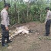 Polres Malang Tindaklanjuti Laporan Judi di Kalipare, Lokasi Diduga Sabung Ayam Dibongkar