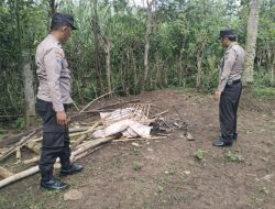Polres Malang Tindaklanjuti Laporan Judi di Kalipare, Lokasi Diduga Sabung Ayam Dibongkar