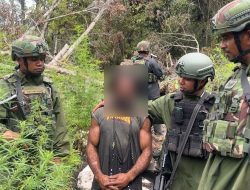 STOP Normalisasi Ganja, Mari Selamatkan Generasi Muda Pegunungan Bintang