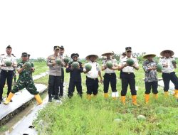 Kasdim 0825/Banyuwangi Hadiri Panen Raya Lapas: Dari Lahan Pemasyarakatan, Harapan Ketahanan Pangan Tumbuh
