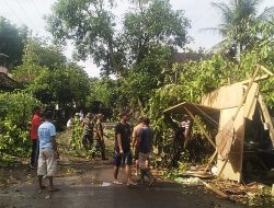 TNI–BPBD Sigap Evakuasi Pohon Tumbang di Sumberdadi Trenggalek