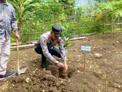 Kapolsek Donomulyo Hadiri Penanaman 360 Bibit Pohon Dukung Pelestarian Alam di Desa Mentaraman