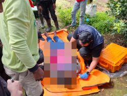 Polres Batu dan Polsek Pujon Tangani Penemuan Jenazah Pria Tergantung di Gubuk Kebun Apel Desa Wiyurejo