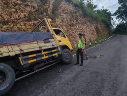 Truk Bermuatan Granit Gagal Menanjak di Kalipare, Kernet Tewas Terjepit Tebing
