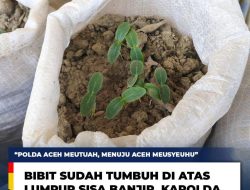 Lumpur Banjir Berubah Jadi Harapan Baru Lewat Program Ketahanan Pangan