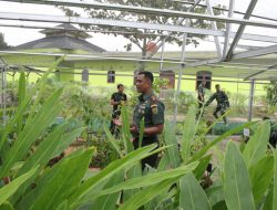 Di Balik Makodim 0418 Palembang, Ternyata Ada Urban Farming dan Ribuan Bibit Pohon