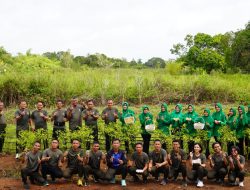 Dari Lahan Tidur Jadi Lahan Produktif, Danrem 174/ATW Panen Cabai Bersama Prajurit dan Persit