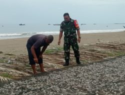 Babinsa di Susoh Dukung Usaha Mandiri Warga Kembangkan Produk Ikan Teri Tembus Pasar Aceh dan Sumatera