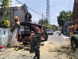 Babinsa Karangtengah, Sigap Bantu Evakuasi Rumah Warga Tertimpa Pohon Tumbang Akibat Angin Kencang