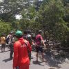 Respon Cepat Aparat, Pohon Tumbang di Jalan Nasional Durenan Berhasil Dievakuasi