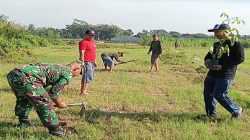 Peduli Lingkungan Sertu M. Ayub Bersama Warga Tlumpu Laksanakan Penghijauan Tanam Pohon Akasia