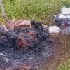 Warga Dihebohkan Penemuan Jenazah Terbakar di Sekotong Barat