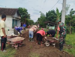 Pasca Hujan, Babinsa Sigap Bantu Uruk Jalan Sawah yang Rusak