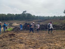 Warga Desa Nyiin Tersenyum, Demplot Jagung Polres Landak Buka Akses Jalan dan Lapangan Kerja