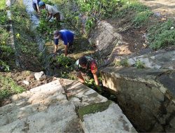 Cegah Banjir Musim Hujan, Babinsa Ngaringan Gotong Royong Bersihkan Gorong-Gorong