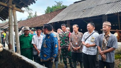 Sukseskan Program Pemerintah Babinsa Dukung Vaksinasi PMK