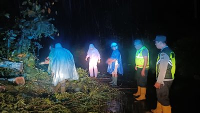 Respons Cepat Polsek Pagak Tangani Pohon Tumbang di Gunung Geger, Akses Warga Kembali Aman