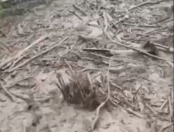 Kondisi Air Kembali Meluap di Wilayah Weh Gile Kecamatan Timang Gajah